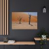 91638-823.jpg Desolate Trees in the Sandy Desert of Deadvlei Hiking Trail Standard Canvas