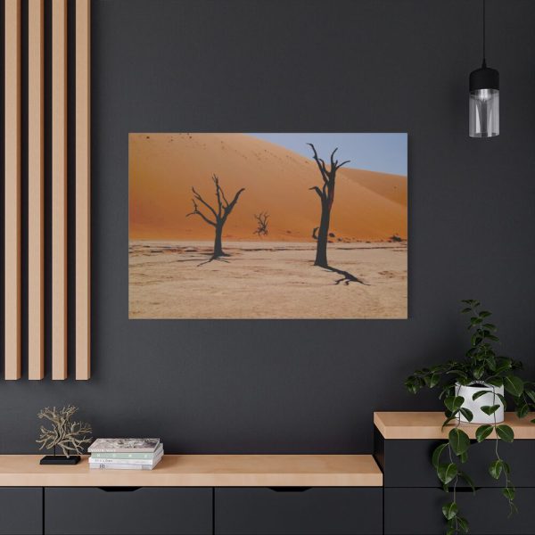 91638-823.jpg Desolate Trees in the Sandy Desert of Deadvlei Hiking Trail Standard Canvas