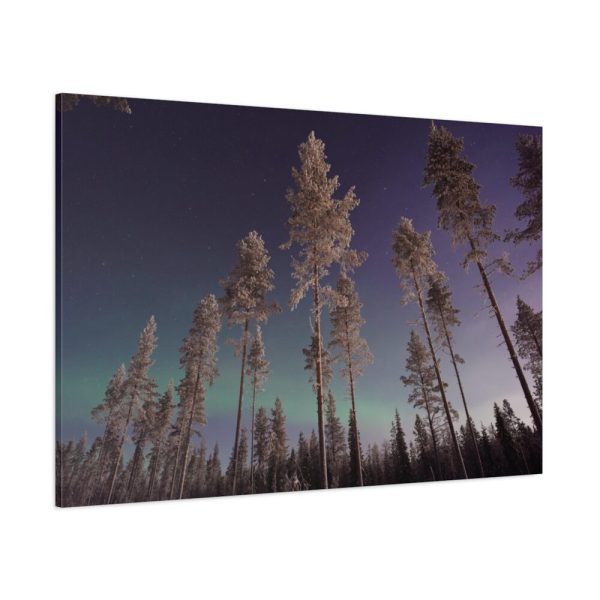 91638-830.jpg Lapland Finland Standard Canvas