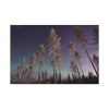 91638-831.jpg Lapland Finland Standard Canvas