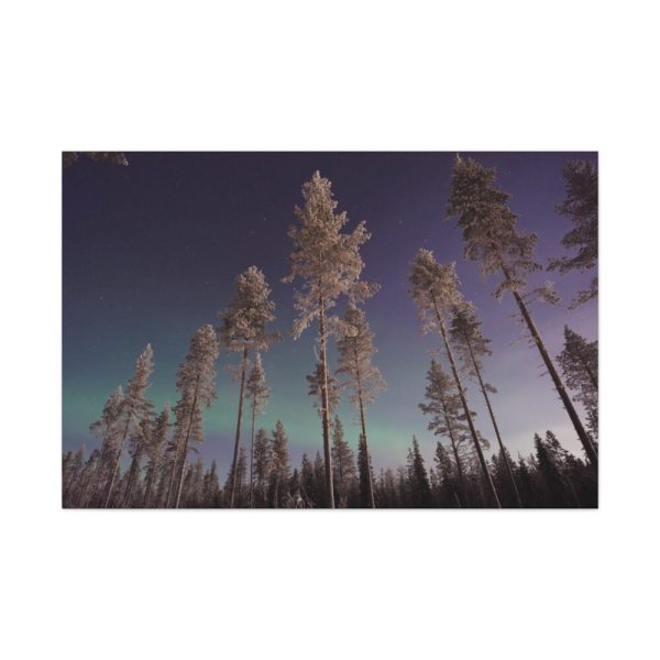 91638-831.jpg Lapland Finland Standard Canvas