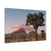 91638-835.jpg Sunset near Turtle Rock Standard Canvas