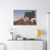 91638-837.jpg Sunset near Turtle Rock Standard Canvas