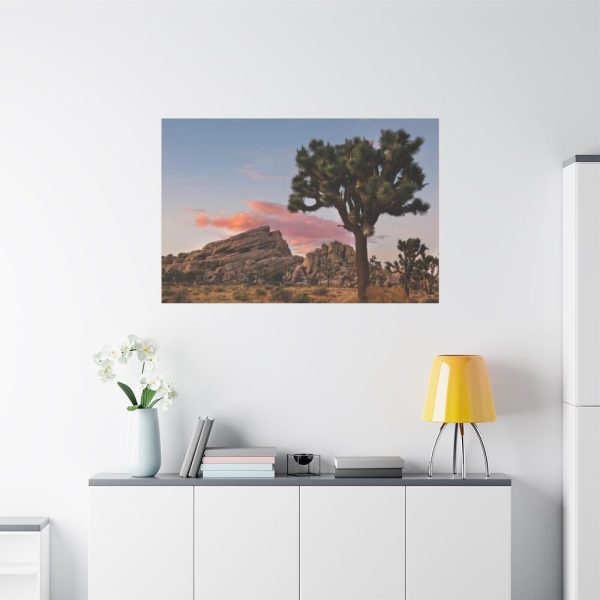 91638-837.jpg Sunset near Turtle Rock Standard Canvas