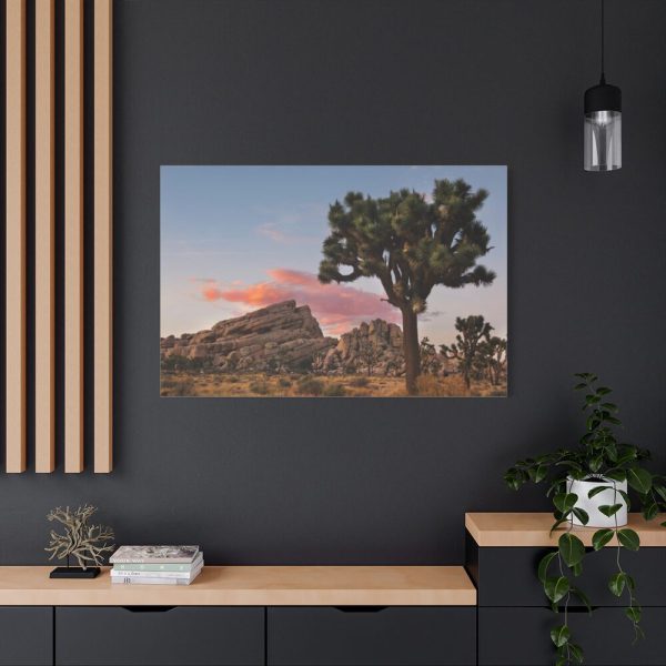 91638-838.jpg Sunset near Turtle Rock Standard Canvas