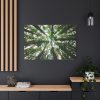 91638-858.jpg Forest in Warburton, Australia Standard Canvas