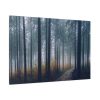 91638-865.jpg Into the Woods Standard Canvas