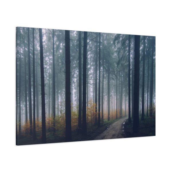 91638-865.jpg Into the Woods Standard Canvas