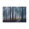 91638-866.jpg Into the Woods Standard Canvas