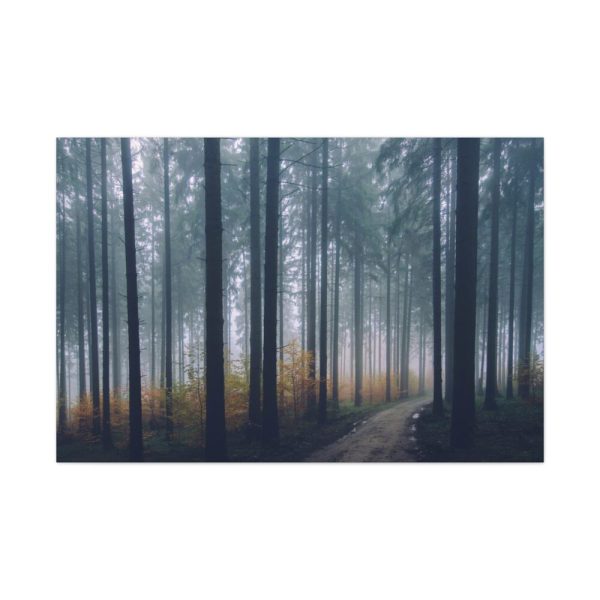 91638-866.jpg Into the Woods Standard Canvas