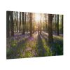 91638-870.jpg Spring day Standard Canvas