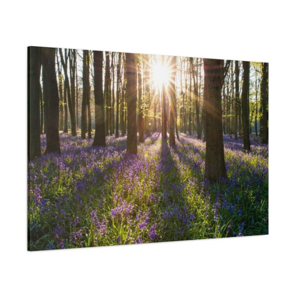 91638-870.jpg Spring day Standard Canvas
