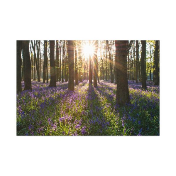 91638-871.jpg Spring day Standard Canvas