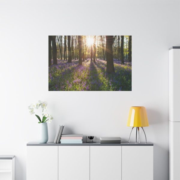91638-872.jpg Spring day Standard Canvas