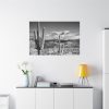 91638-887.jpg Black and White Cactus in Desert Standard Canvas