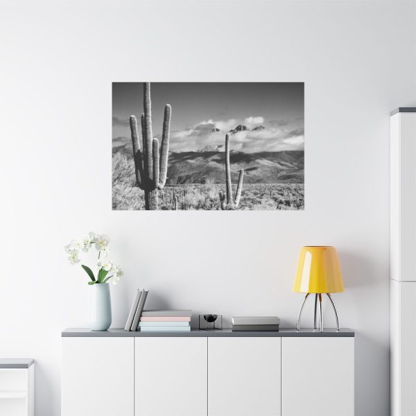 91638-887.jpg Black and White Cactus in Desert Standard Canvas