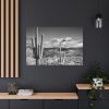 91638-888.jpg Black and White Cactus in Desert Standard Canvas