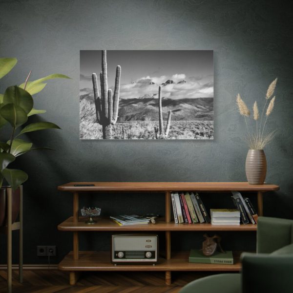91638-889.jpg Black and White Cactus in Desert Standard Canvas