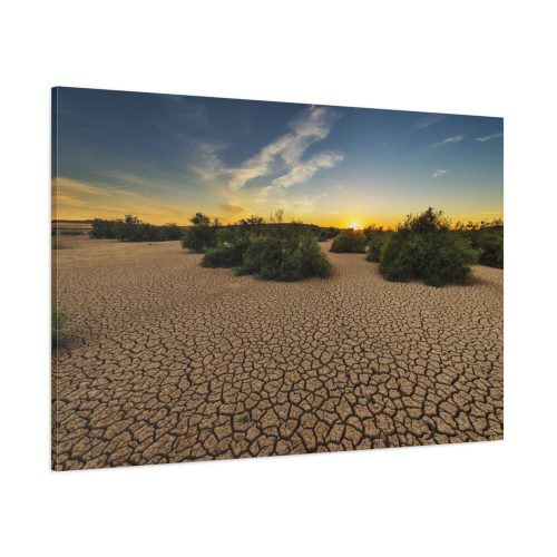 91638-890.jpg Drought Dehydrated Clay Floor Earth Cracked Standard Canvas