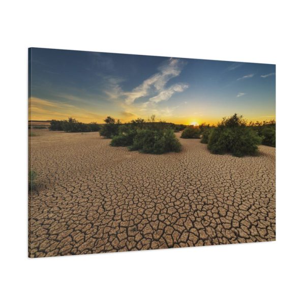 91638-890.jpg Drought Dehydrated Clay Floor Earth Cracked Standard Canvas