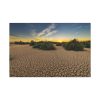 91638-891.jpg Drought Dehydrated Clay Floor Earth Cracked Standard Canvas
