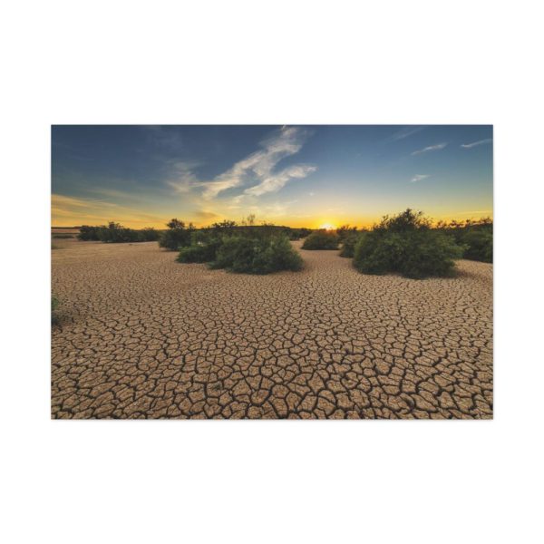 91638-891.jpg Drought Dehydrated Clay Floor Earth Cracked Standard Canvas