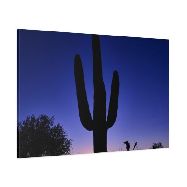 91638-895.jpg Saguaro Cactus Dominates in the Garden of the White Stallion Ranch Standard Canvas
