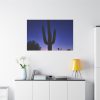 91638-897.jpg Saguaro Cactus Dominates in the Garden of the White Stallion Ranch Standard Canvas