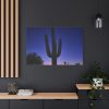 91638-898.jpg Saguaro Cactus Dominates in the Garden of the White Stallion Ranch Standard Canvas