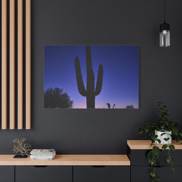 91638-898.jpg Saguaro Cactus Dominates in the Garden of the White Stallion Ranch Standard Canvas