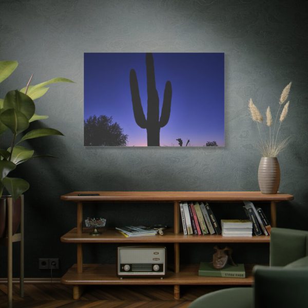 91638-899.jpg Saguaro Cactus Dominates in the Garden of the White Stallion Ranch Standard Canvas