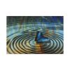 91638-91.jpg Butterfly on Collage Rings Standard Canvas