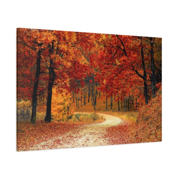 91638-920.jpg Red Season in the Woods Standard Canvas