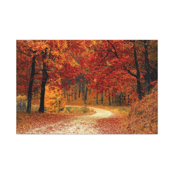 91638-921.jpg Red Season in the Woods Standard Canvas
