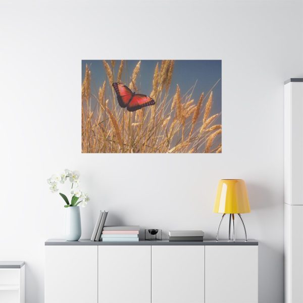 Grain Halme Cereals Butterfly Standard Canvas