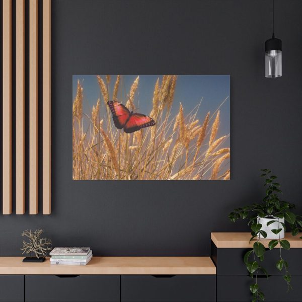 Grain Halme Cereals Butterfly Standard Canvas