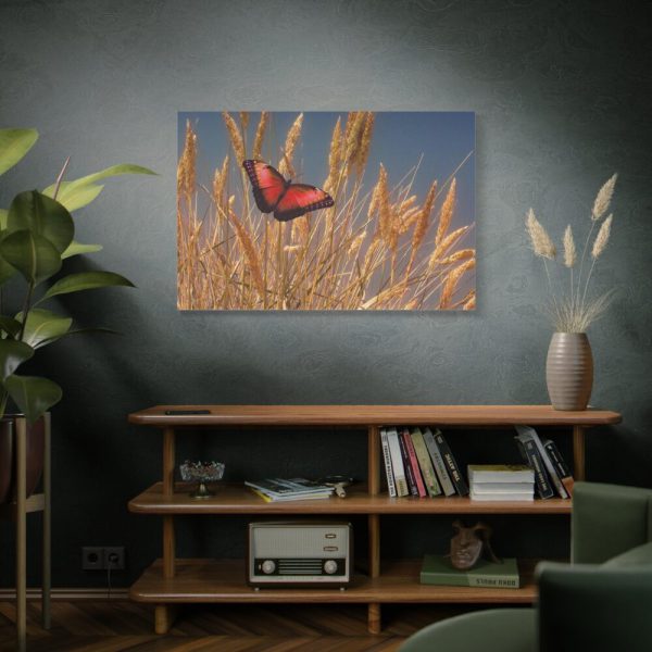 Grain Halme Cereals Butterfly Standard Canvas