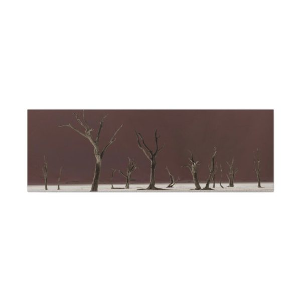 91639-1.jpg Deadvlei Sunrise Standard Canvas