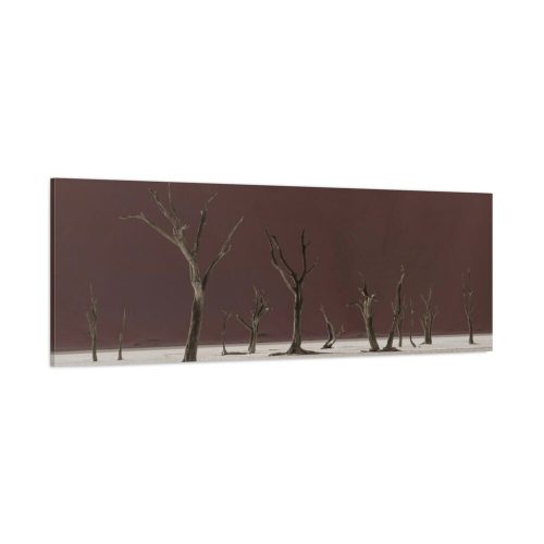 Deadvlei Sunrise Standard Canvas
