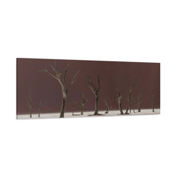 91639.jpg Deadvlei Sunrise Standard Canvas