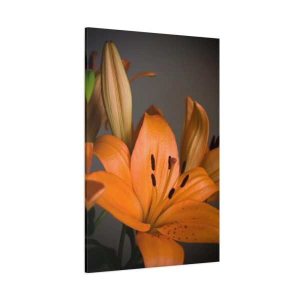 Orange Lily Standard Canvas