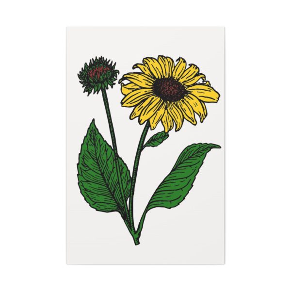 91655-101.jpg Sunflower Illustration Standard Canvas
