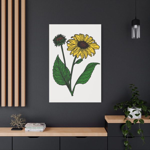 91655-103.jpg Sunflower Illustration Standard Canvas