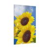 91655-105.jpg Sunflower Flower Air Clouds Standard Canvas