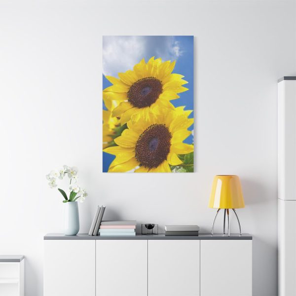 91655-107.jpg Sunflower Flower Air Clouds Standard Canvas