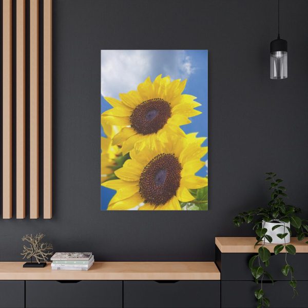 91655-108.jpg Sunflower Flower Air Clouds Standard Canvas