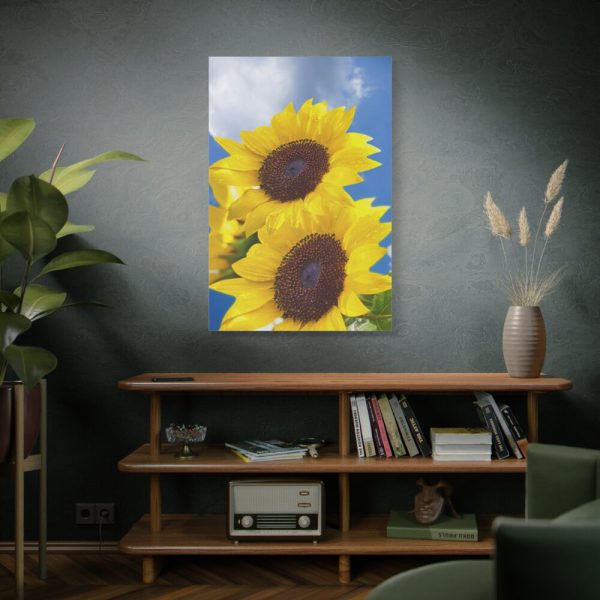 91655-109.jpg Sunflower Flower Air Clouds Standard Canvas
