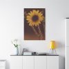 91655-117.jpg The Sunflower is Blooming Standard Canvas