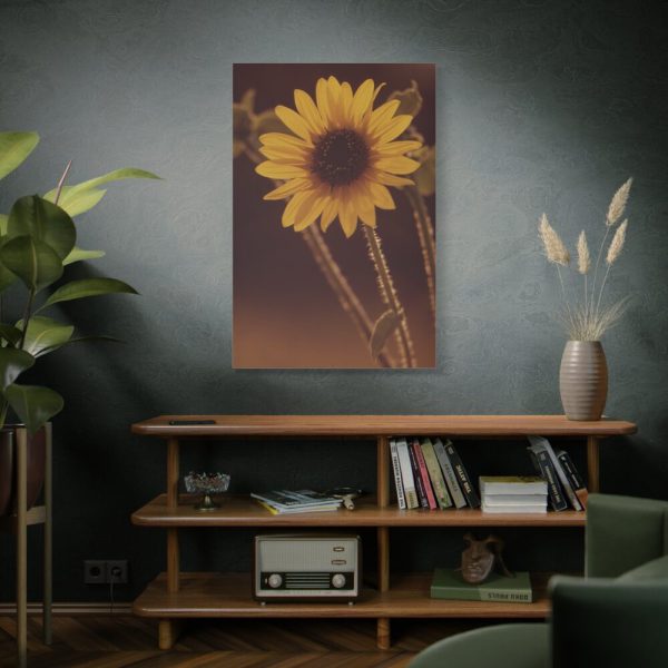 91655-119.jpg The Sunflower is Blooming Standard Canvas