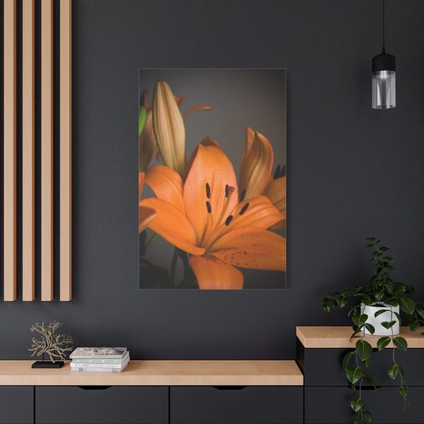 Orange Lily Standard Canvas